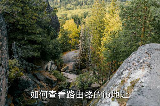 如何查看路由器的ip地址