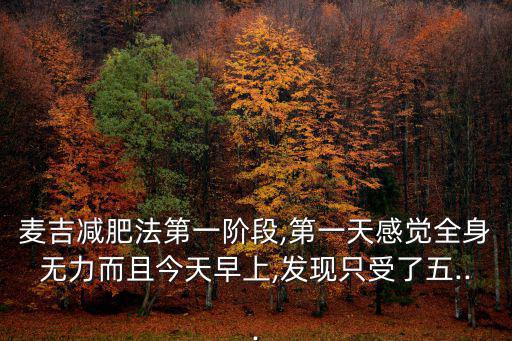 麥吉減肥法,麥吉減肥法首階段感覺全身無力第二階段全身輕松