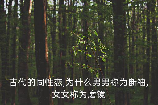 古代的同性戀,為什么男男稱為斷袖,女女稱為磨鏡