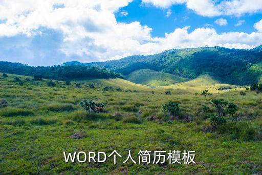 簡(jiǎn)歷模板word，如何使用office2003word中的簡(jiǎn)歷模版