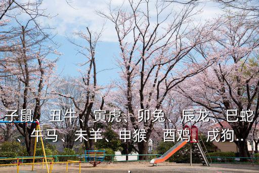 午馬未羊,屬相午馬占據十二地支的領跑者