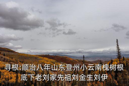 尋根:順治八年山東登州小云南槐樹根底下老劉家先祖劉金生劉伊