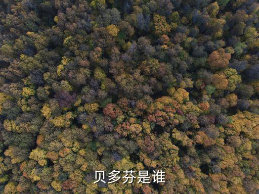 貝多芬是誰
