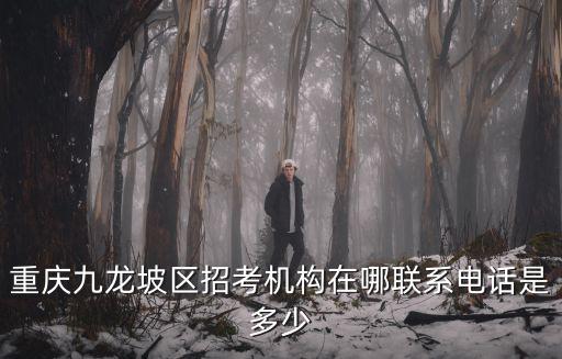 重慶九龍坡區招考機構在哪聯系電話是多少