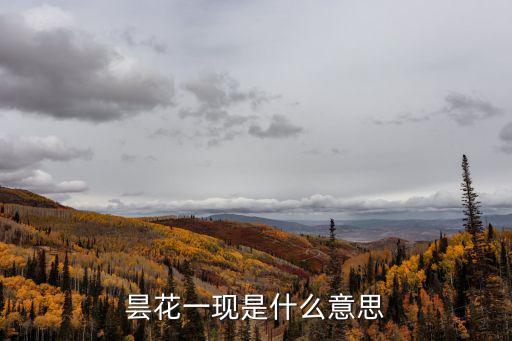 曇花一現下一句是什么,曇花一現比喻美好事物或景象瞬間消失