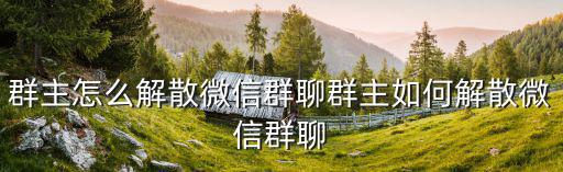 群主怎么解散微信群聊群主如何解散微信群聊