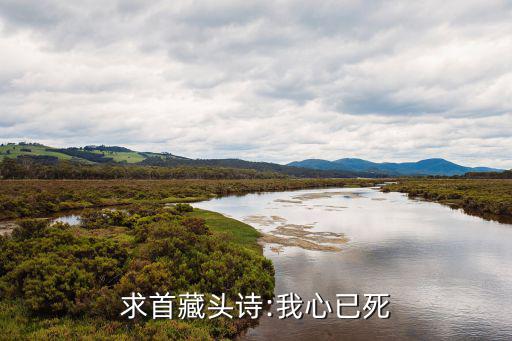 我心已死,藏頭詩:我心已死，吾將星斗為佩衿