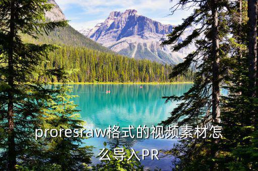 proresraw格式的視頻素材怎么導入PR