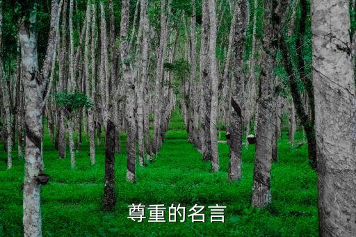 尊重的名言,尊重父母和沒主見不是一回事尊重名言