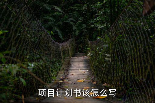 怎樣寫項目計劃書，項目計劃書該怎么寫