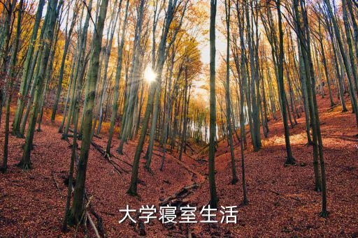 大學(xué)宿舍生活，大學(xué)寢室生活