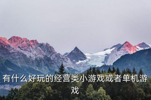 有什么好玩的經營類小游戲或者單機游戲