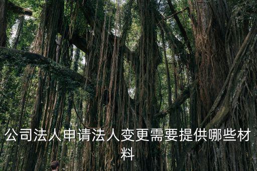 法人變更申請書,公司法人轉讓前務必弄清楚債務清償事情