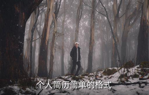 個人簡歷簡單的格式