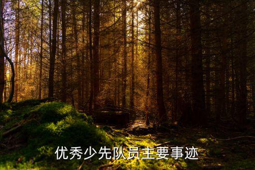 少先隊員主要事跡，優秀少先隊員主要事跡