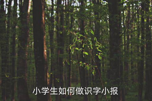 小學(xué)生如何做識(shí)字小報(bào)