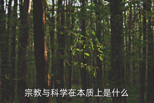 東方玄學,《老子》莊子》、《周易》合稱三玄魏晉玄學
