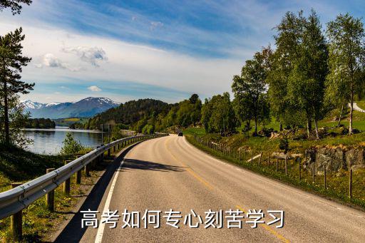 高考如何專心刻苦學習