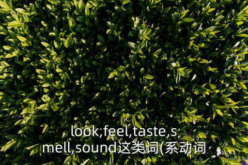 taste造句,這首歌聽起來很搖滾!