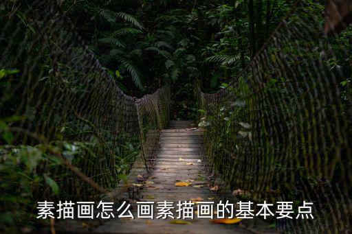 素描畫怎么畫素描畫的基本要點