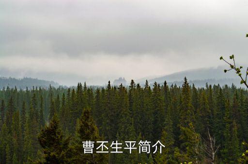 曹丕生平簡介