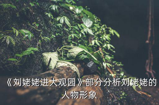劉姥姥人物形象,形象塑造與位高權(quán)重之人形成鮮明對(duì)比