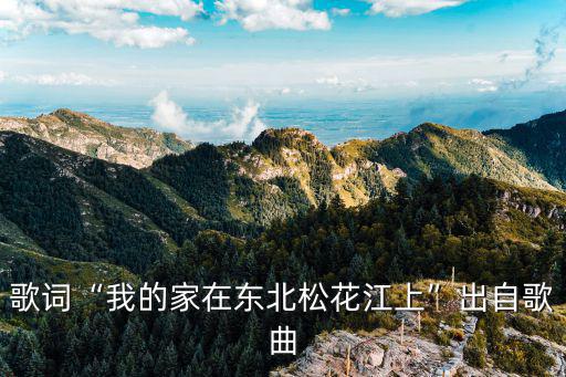 歌詞“我的家在東北松花江上”出自歌曲