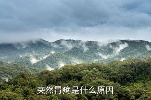突然胃疼是什么原因