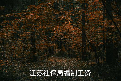 江蘇社保局編制工資