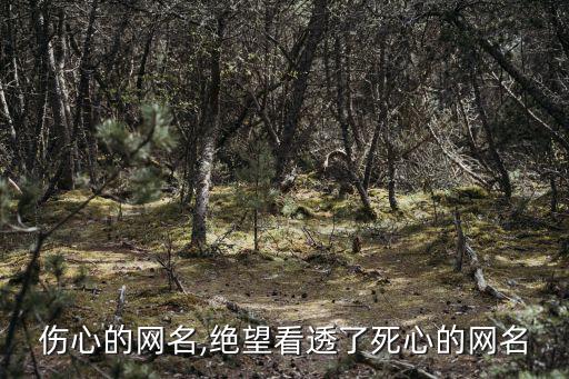 傷心的網名,絕望看透了死心的網名