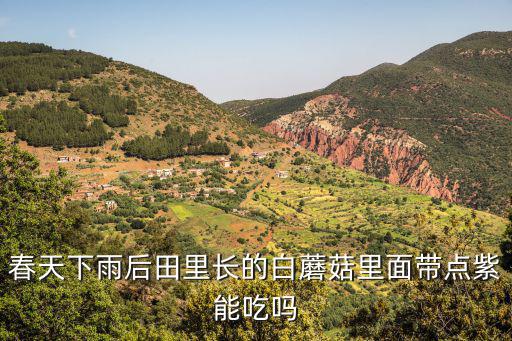 春天下雨后田里長(zhǎng)的白蘑菇里面帶點(diǎn)紫能吃嗎
