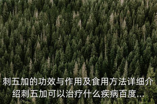 刺五加注射功效與作用,泡五加的功效與作用是什么?