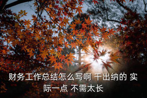 財務科工作總結，財務工作總結怎么寫啊 干出納的 實際一點 不需太長