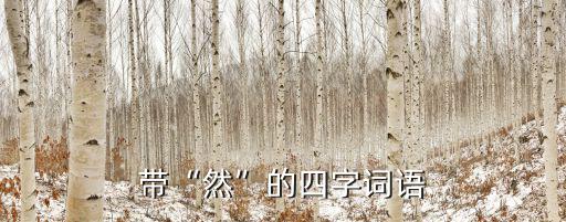 帶“然”的四字詞語
