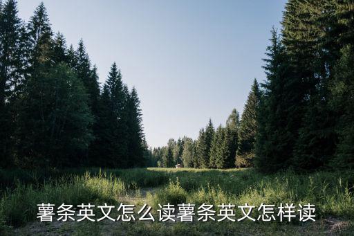 薯條英文怎么讀薯條英文怎樣讀