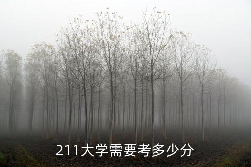 211大學(xué)需要考多少分