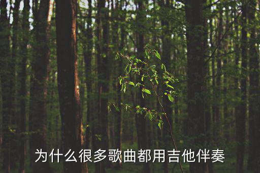 為什么很多歌曲都用吉他伴奏
