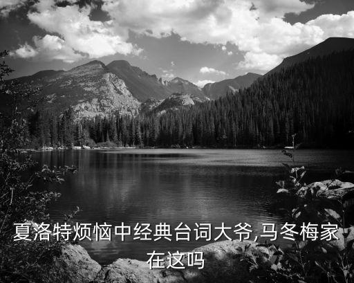 夏洛特煩惱臺詞,《夏洛特煩惱》搞笑對白看爆笑!