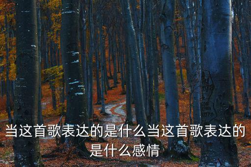 當歌詞,《當》這首歌表達什么?