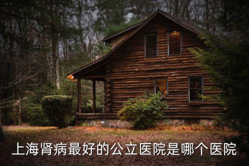 上海腎病最好的公立醫(yī)院是哪個(gè)醫(yī)院