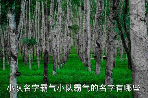 4人組合霸氣的名字,四人組合搞怪名字通用!可愛小隊霸氣名字