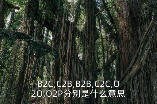 b2c商業模式,電子商務新模式