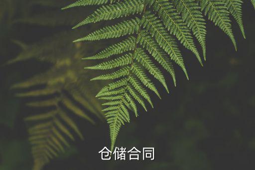 倉(cāng)儲(chǔ)合同