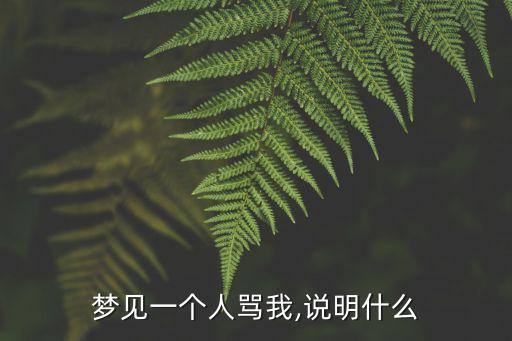 夢見被人罵,夢境解析:實地學習住南方應試有利