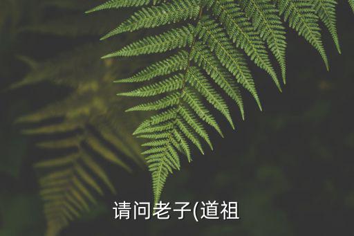 老子姓什么,《老子》第一章第一句道可道，非常道!