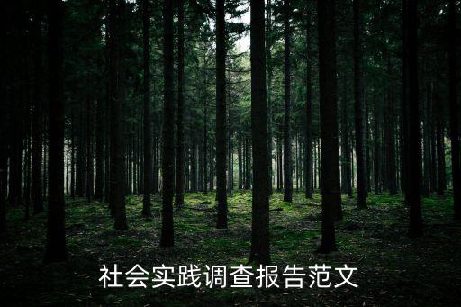 社會實踐調查報告范文