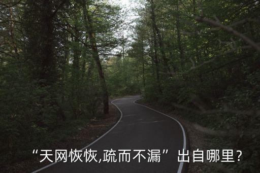 天網恢恢疏而不漏,天網恢恢，疏而不漏出處:《老子》