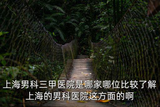 上海男科三甲醫(yī)院是哪家哪位比較了解上海的男科醫(yī)院這方面的啊