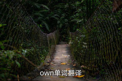 own單詞翻譯