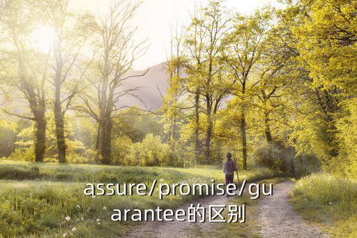 assure/promise/guarantee的區別